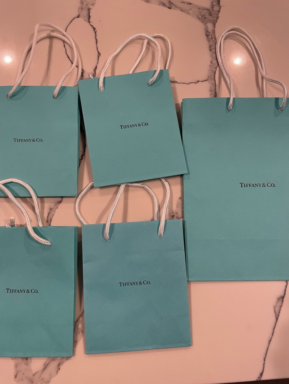 Tiffany & Co. Blue  Gift Bags with White Cord Handles